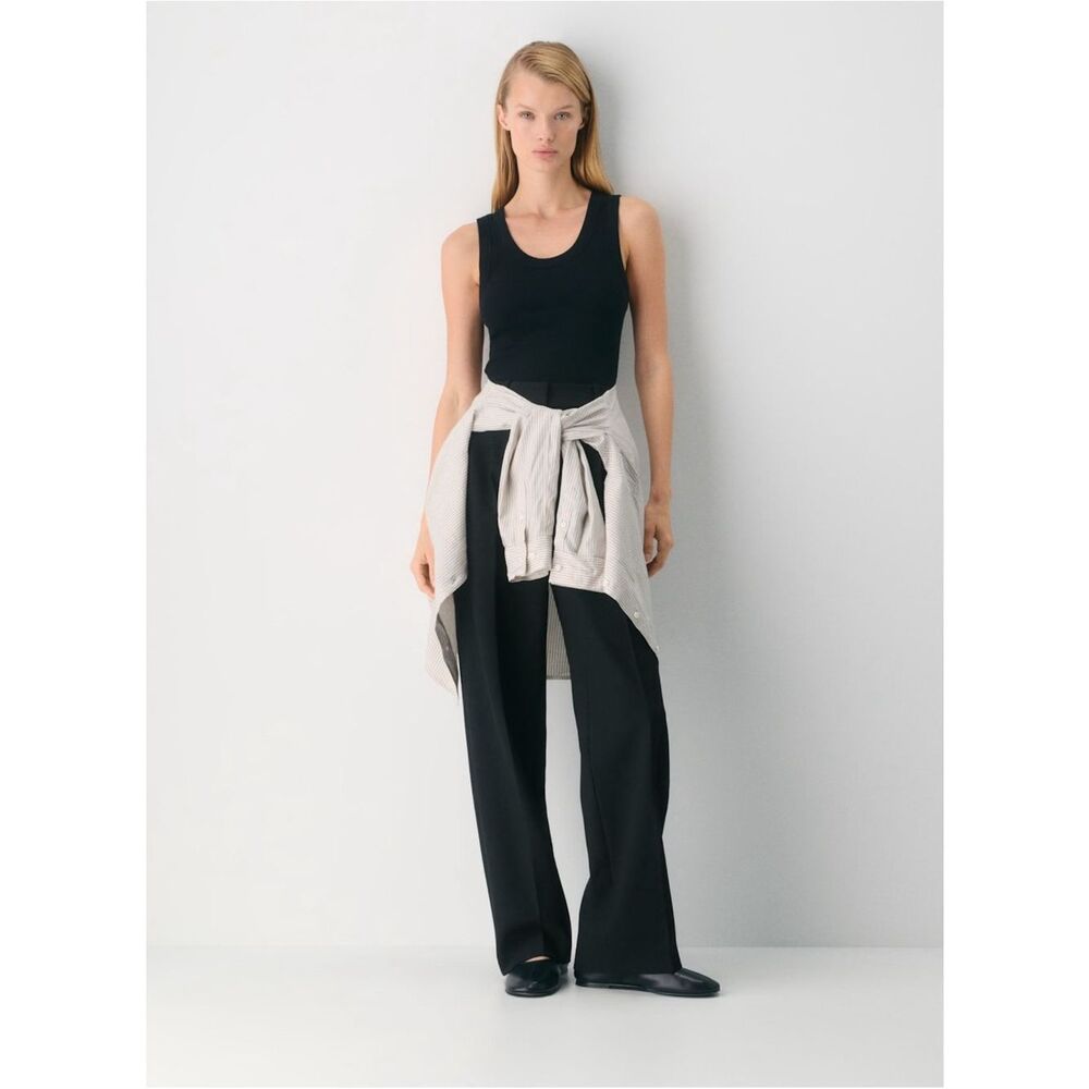 Aritiza Babaton wide leg pants